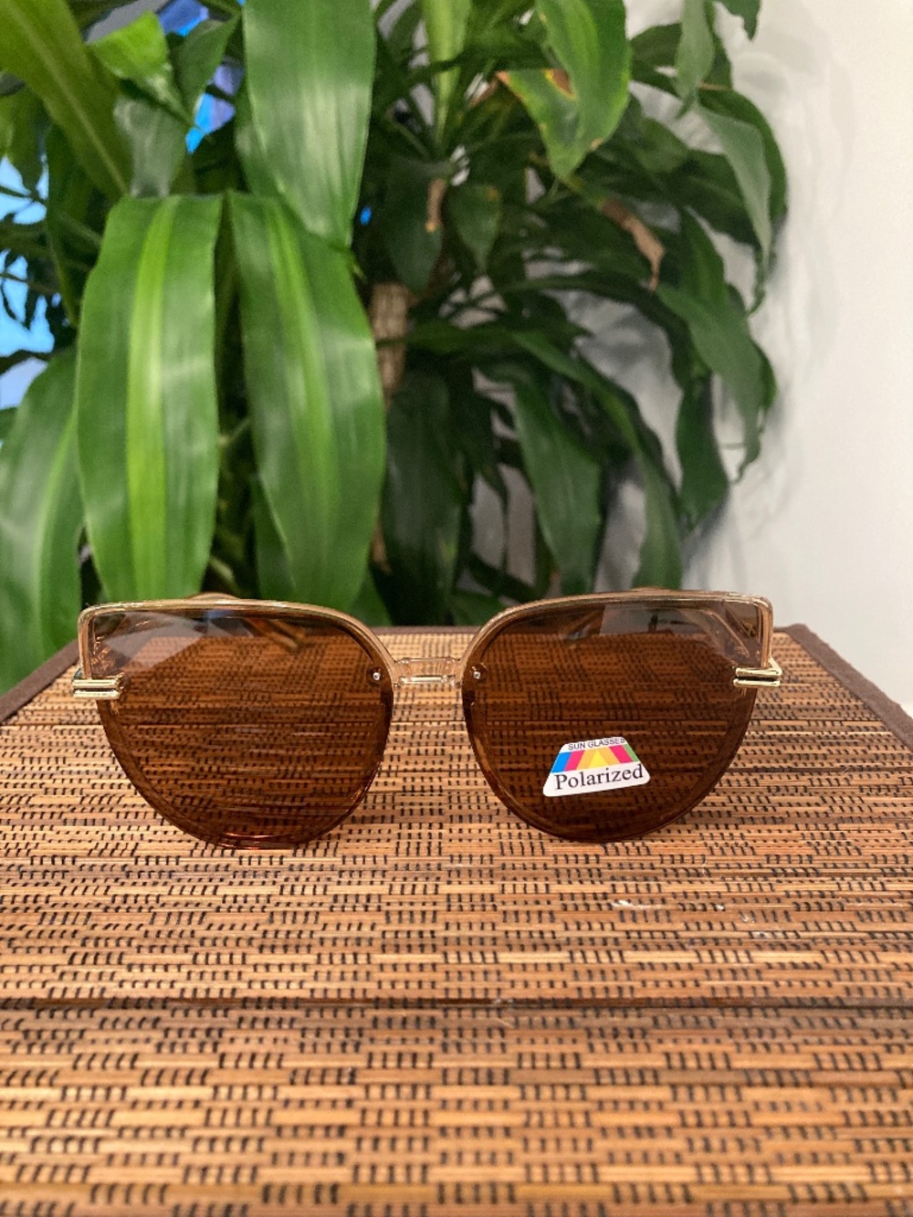 Polarized Cat Eye With Ornate Cutout Temple Sunglasses